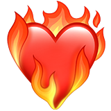:heart-on-fire: